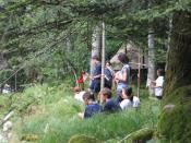 torretta ricevente.jpg